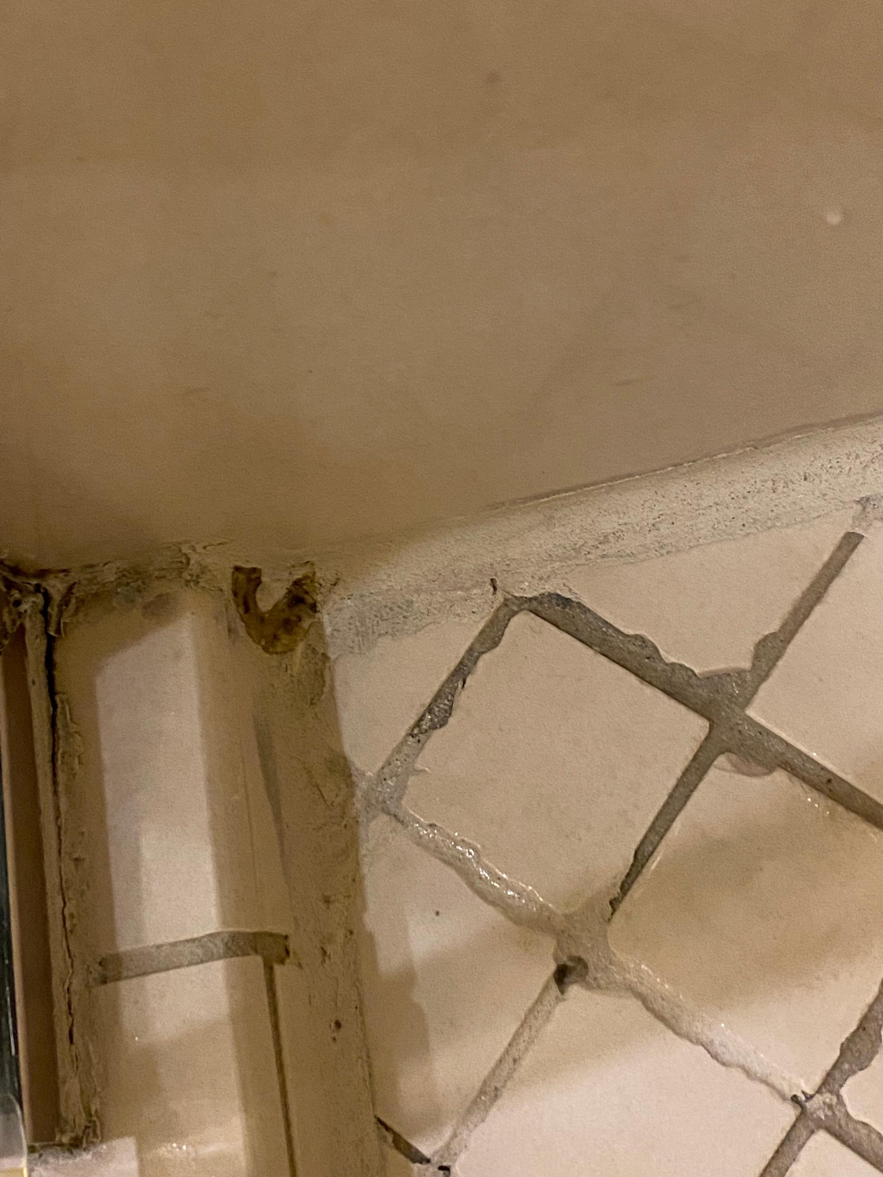 Mold 