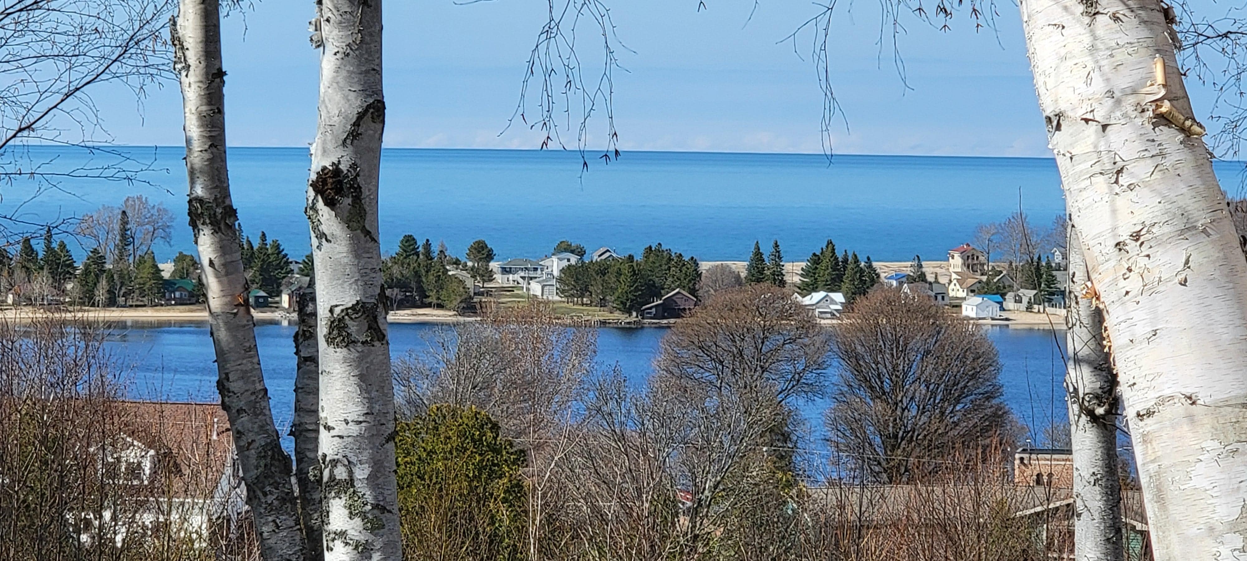 View from yard.