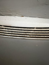 Bathroom fan