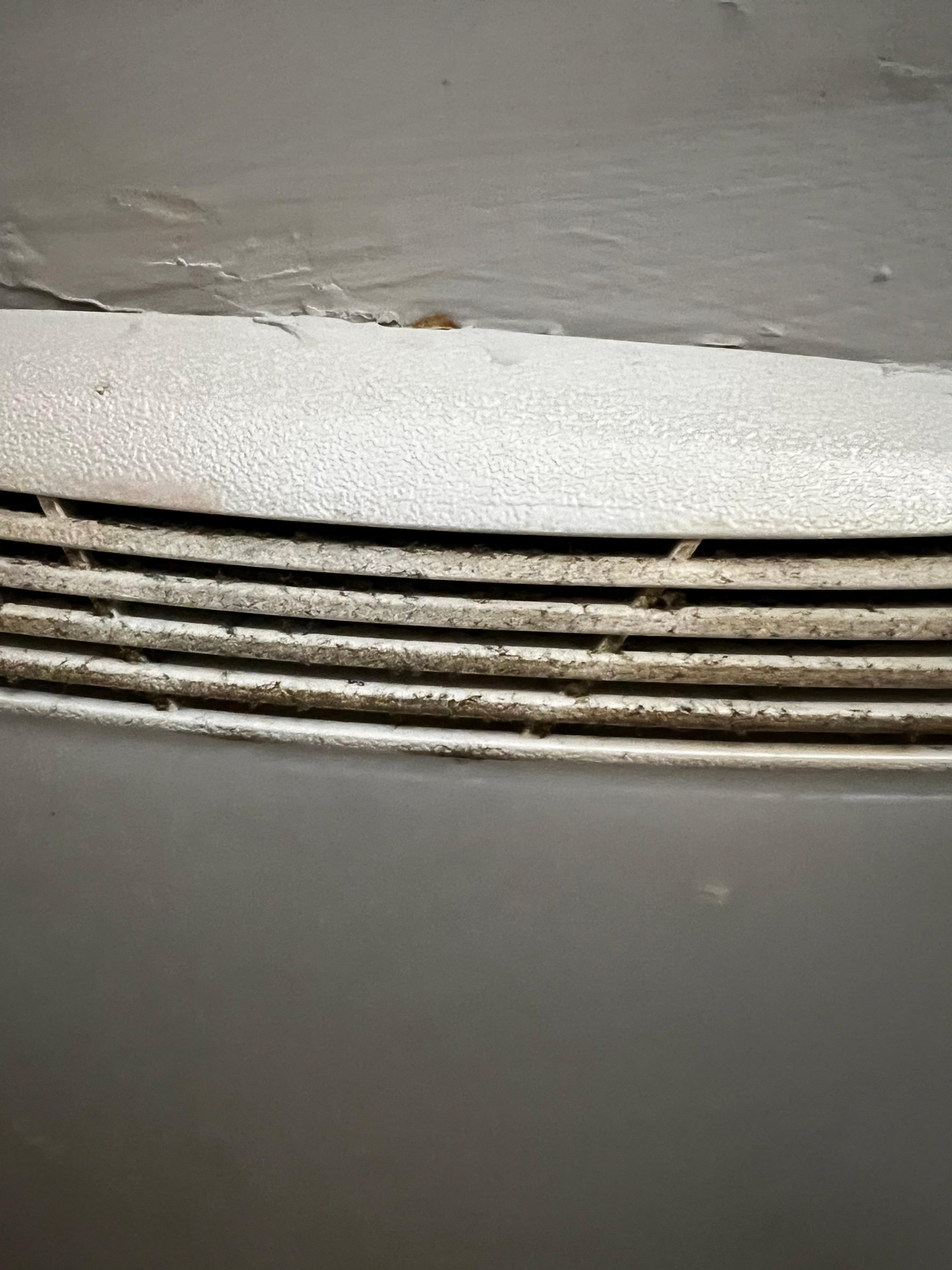 Bathroom fan