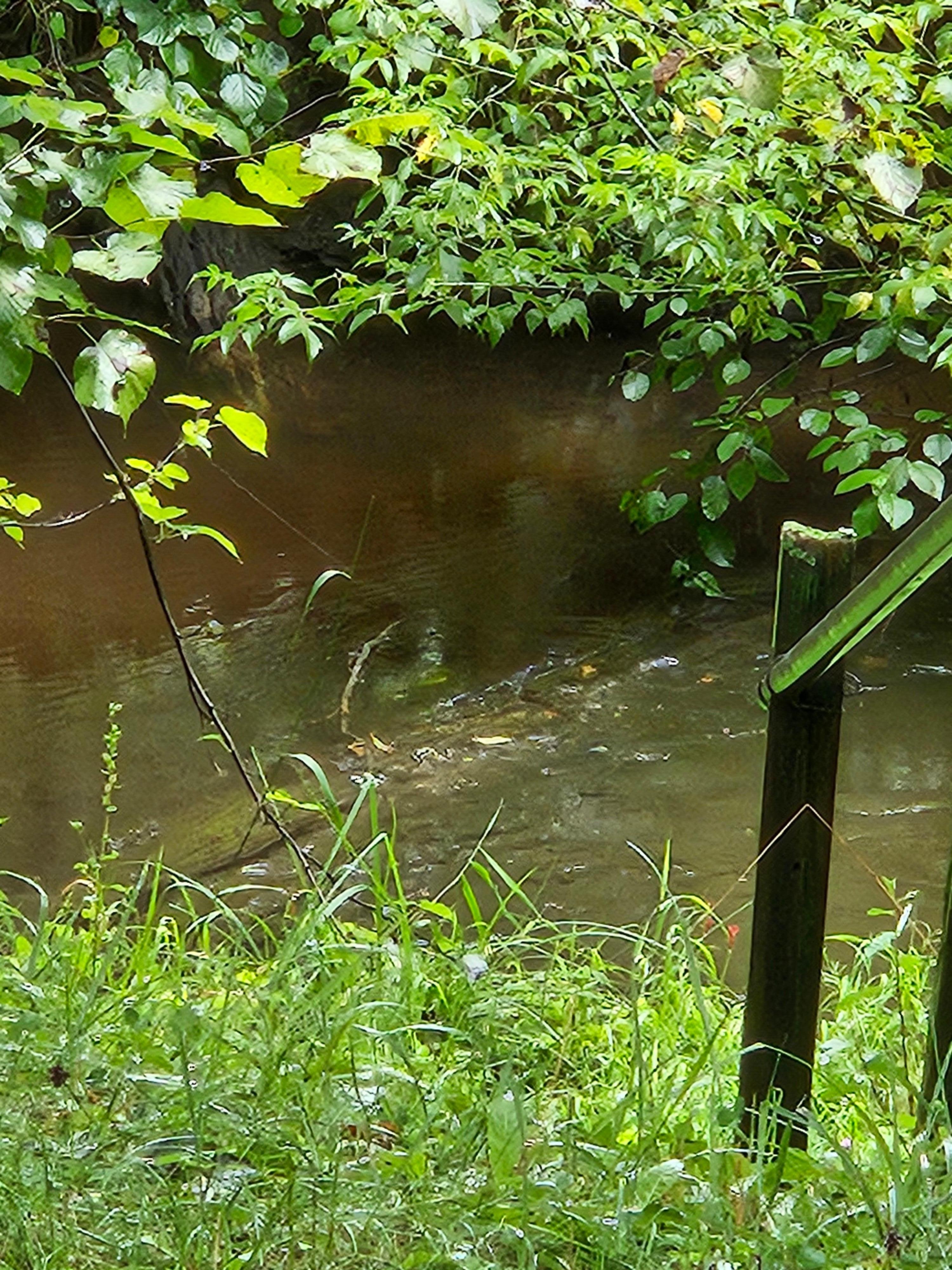 After the first rain