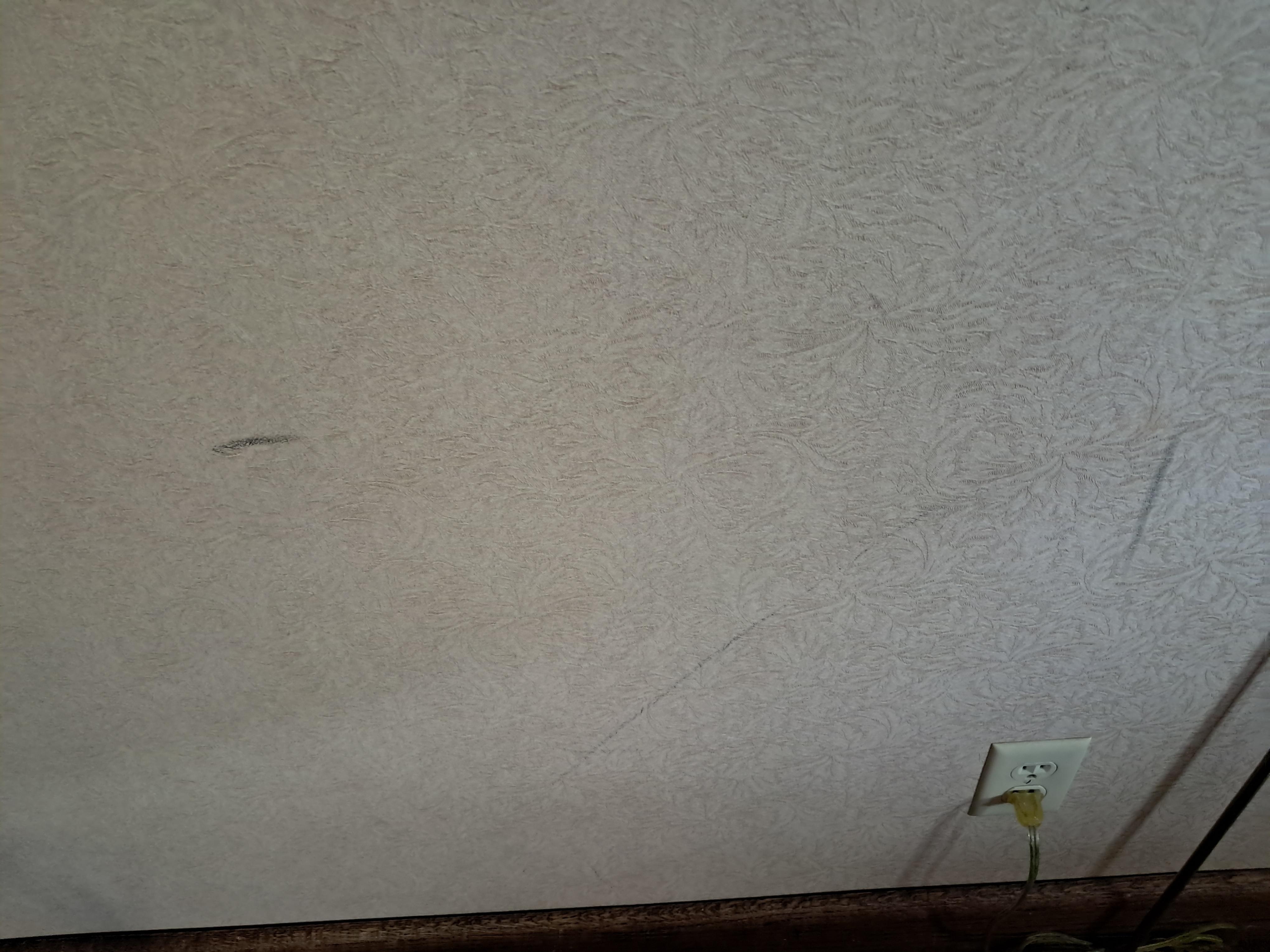 Walls had scuff marks all over them. I don't think the rooms were throughly cleaned from last season.