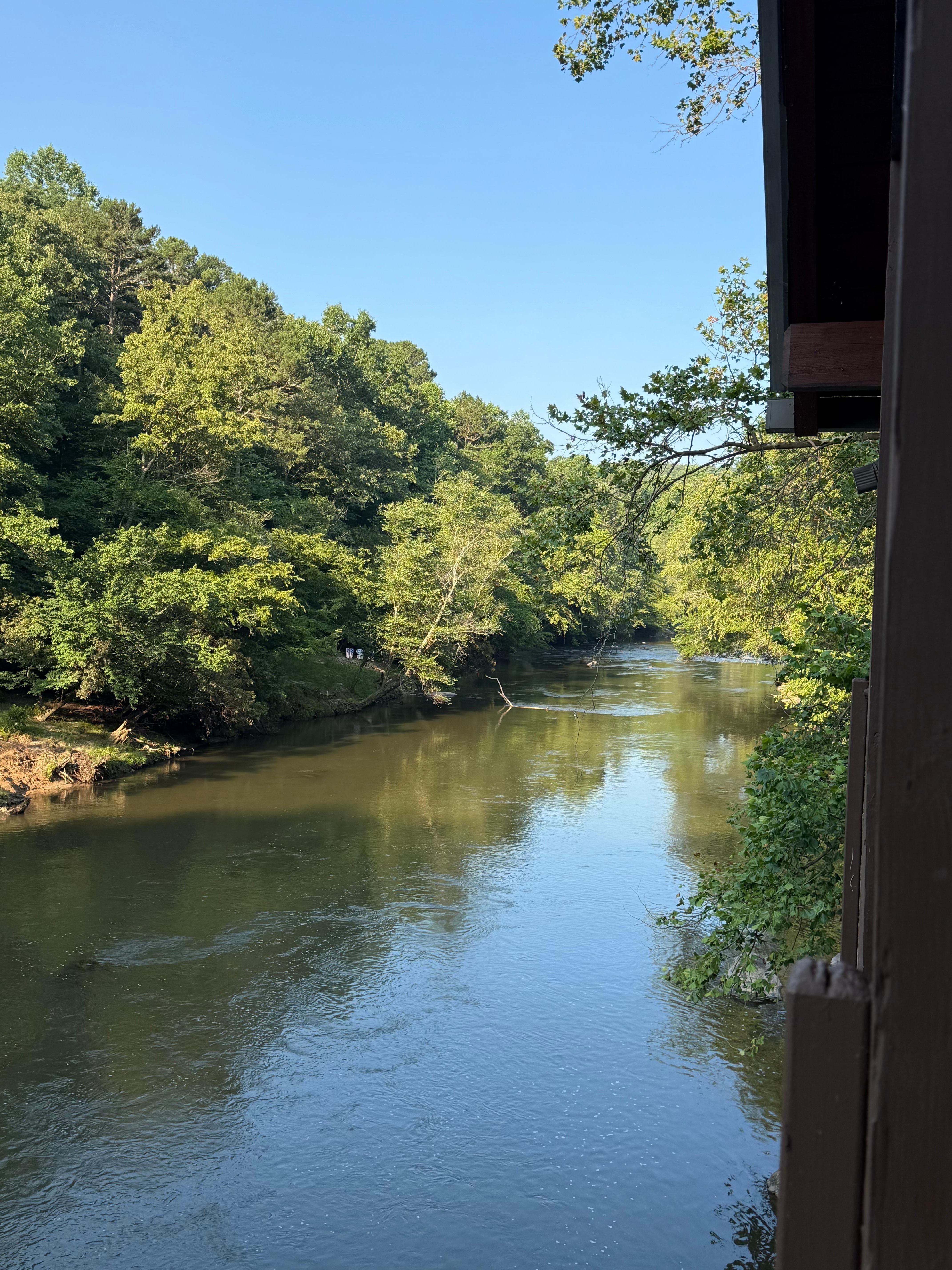 View from cabin deck