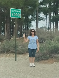 Upon Mt. Lemmon