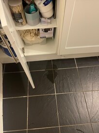 The random leak in the kitchen
