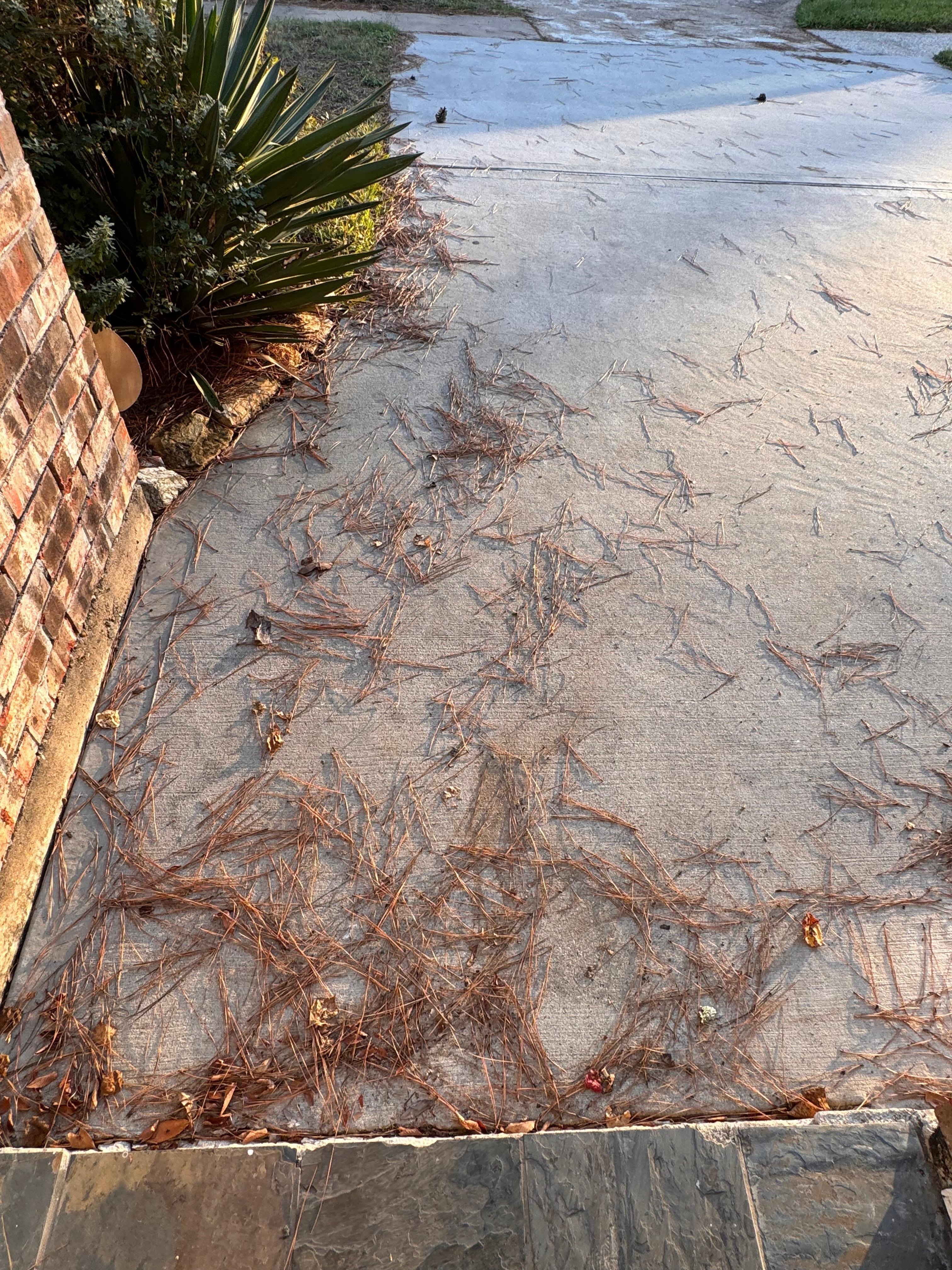 Outside poorly maintained 