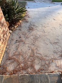 Outside poorly maintained