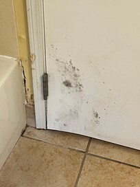 Mold in bathroom