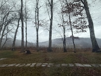 Backyard with Christmas tree farm in background on a rainy morning.