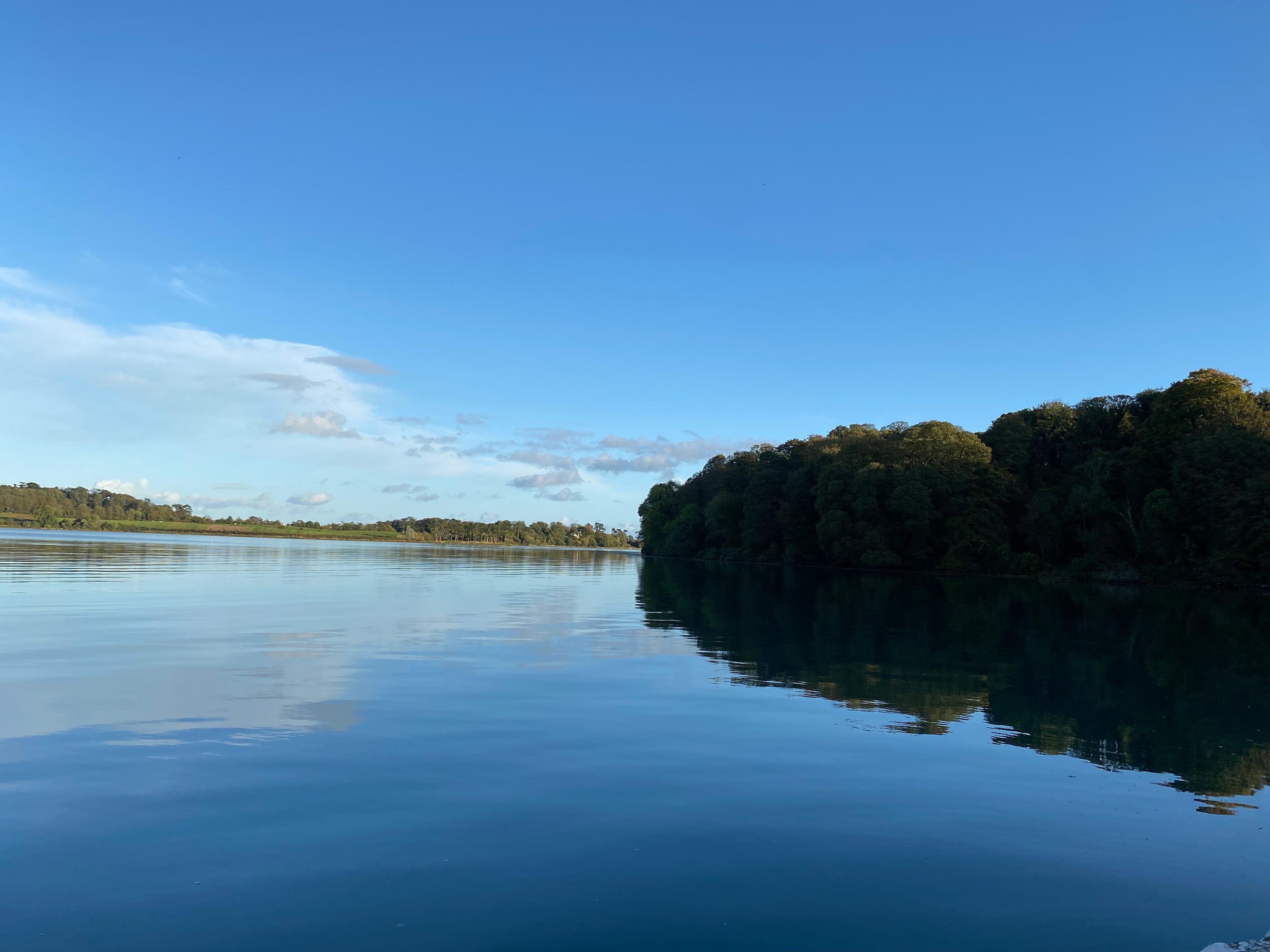 Strangford Lough at Castle Ward