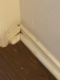 Bathroom floor