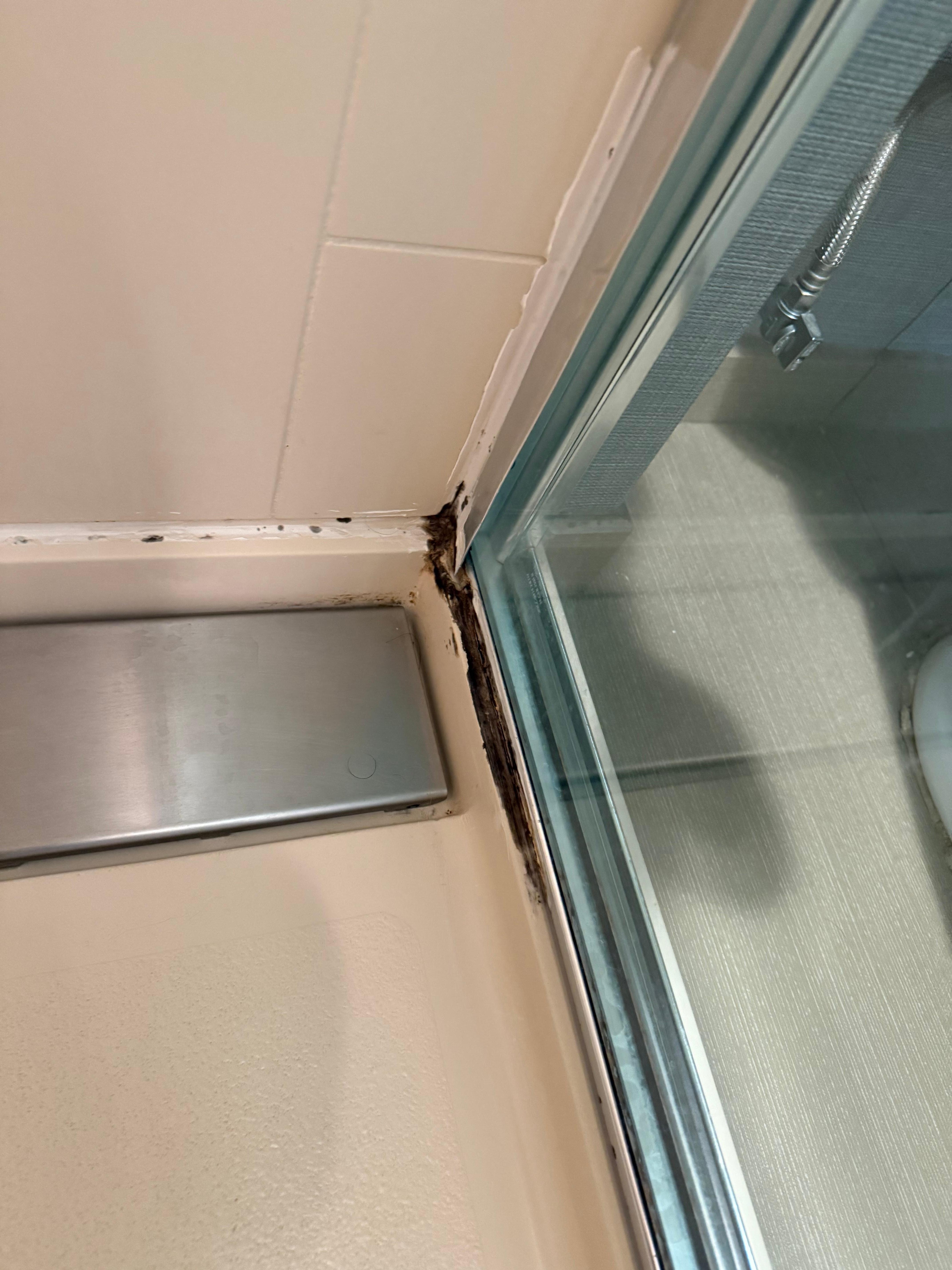 Mold and broken shower base. 