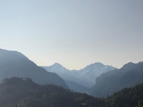 Vue depuis la chambre