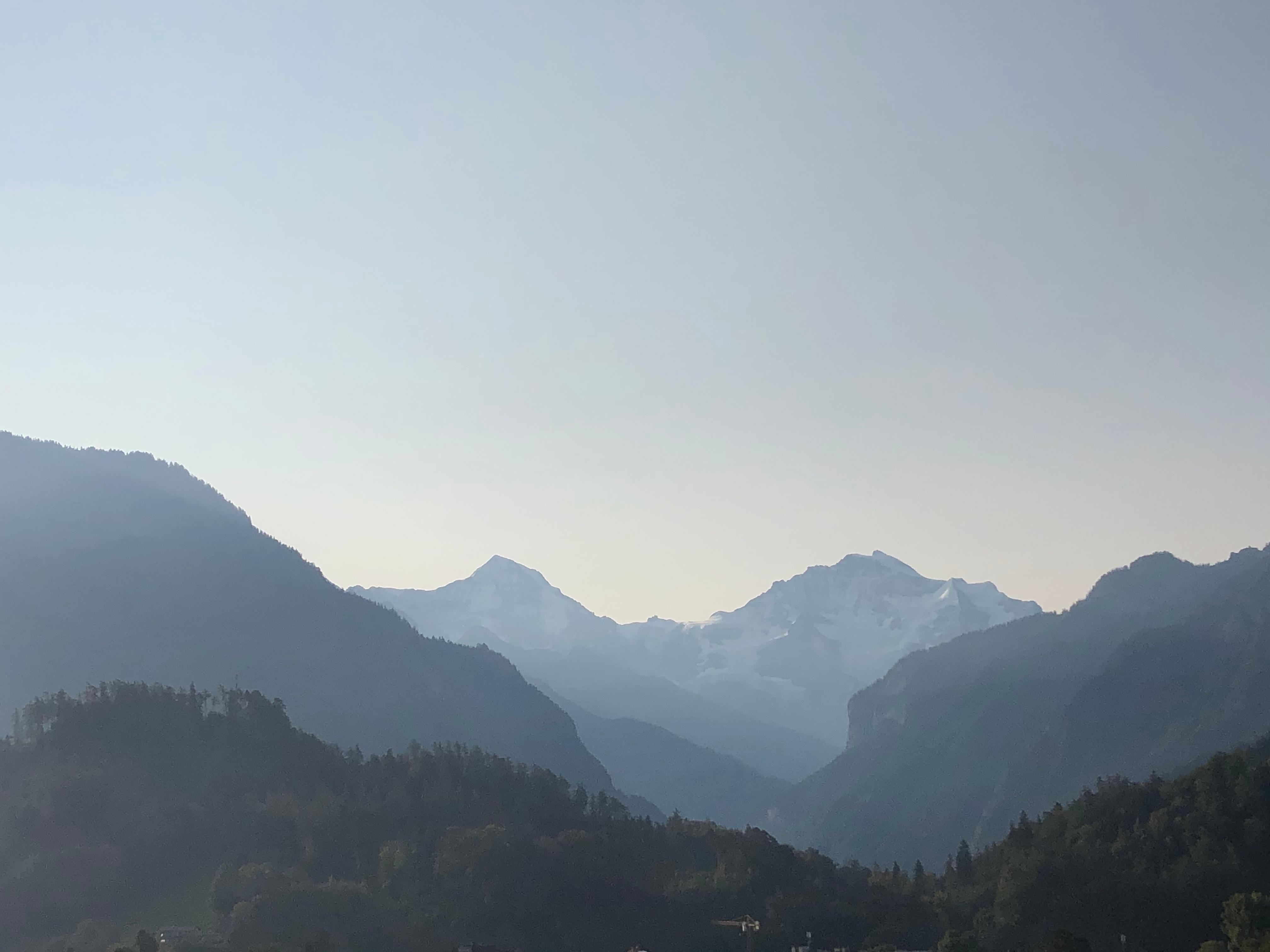 Vue depuis la chambre 