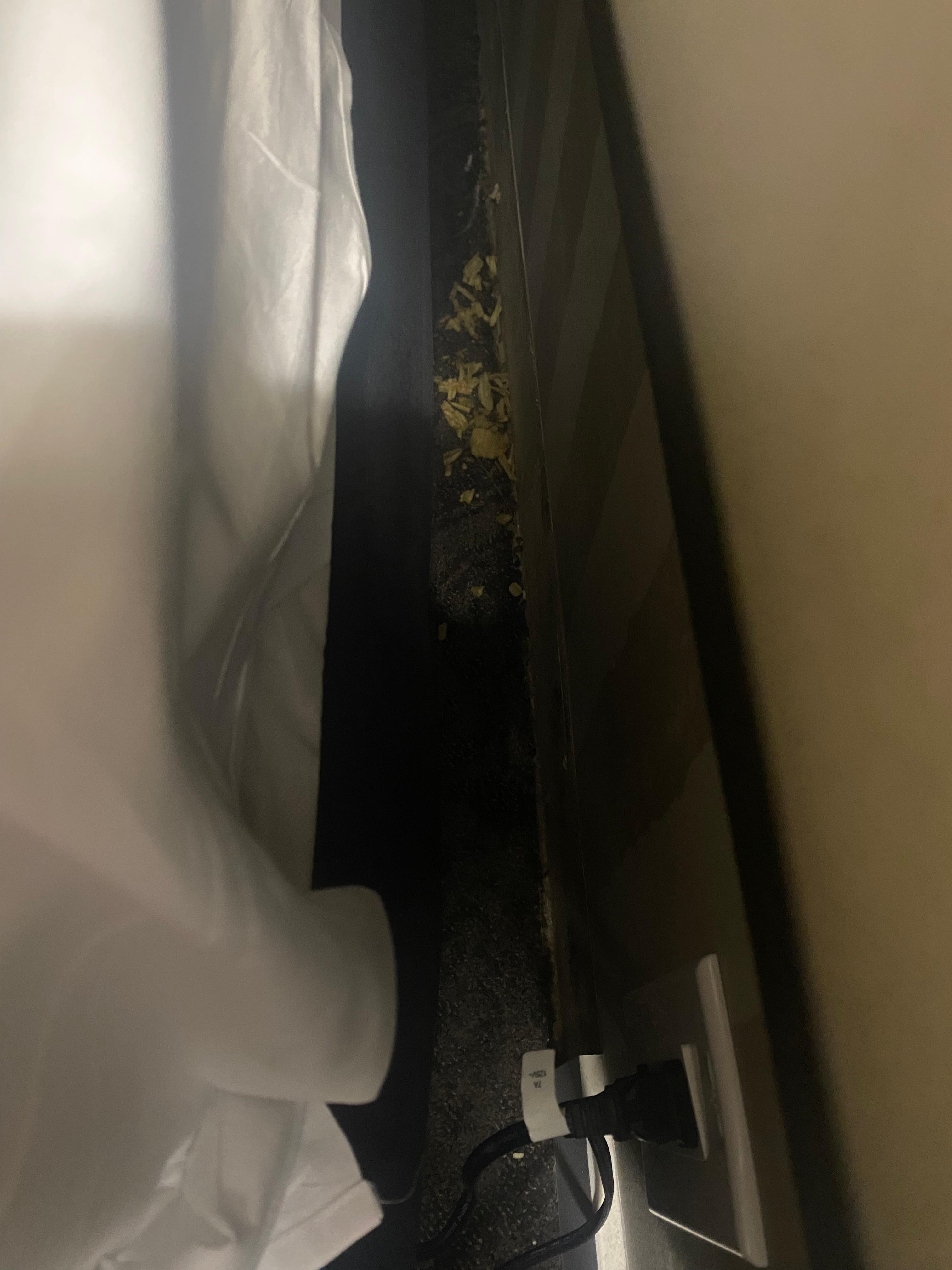 Chips/dirt found behind the bed frame (behind the head)