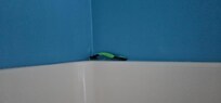 Razor that was left in bathroom. (How clean is the house really if they don't see that?).