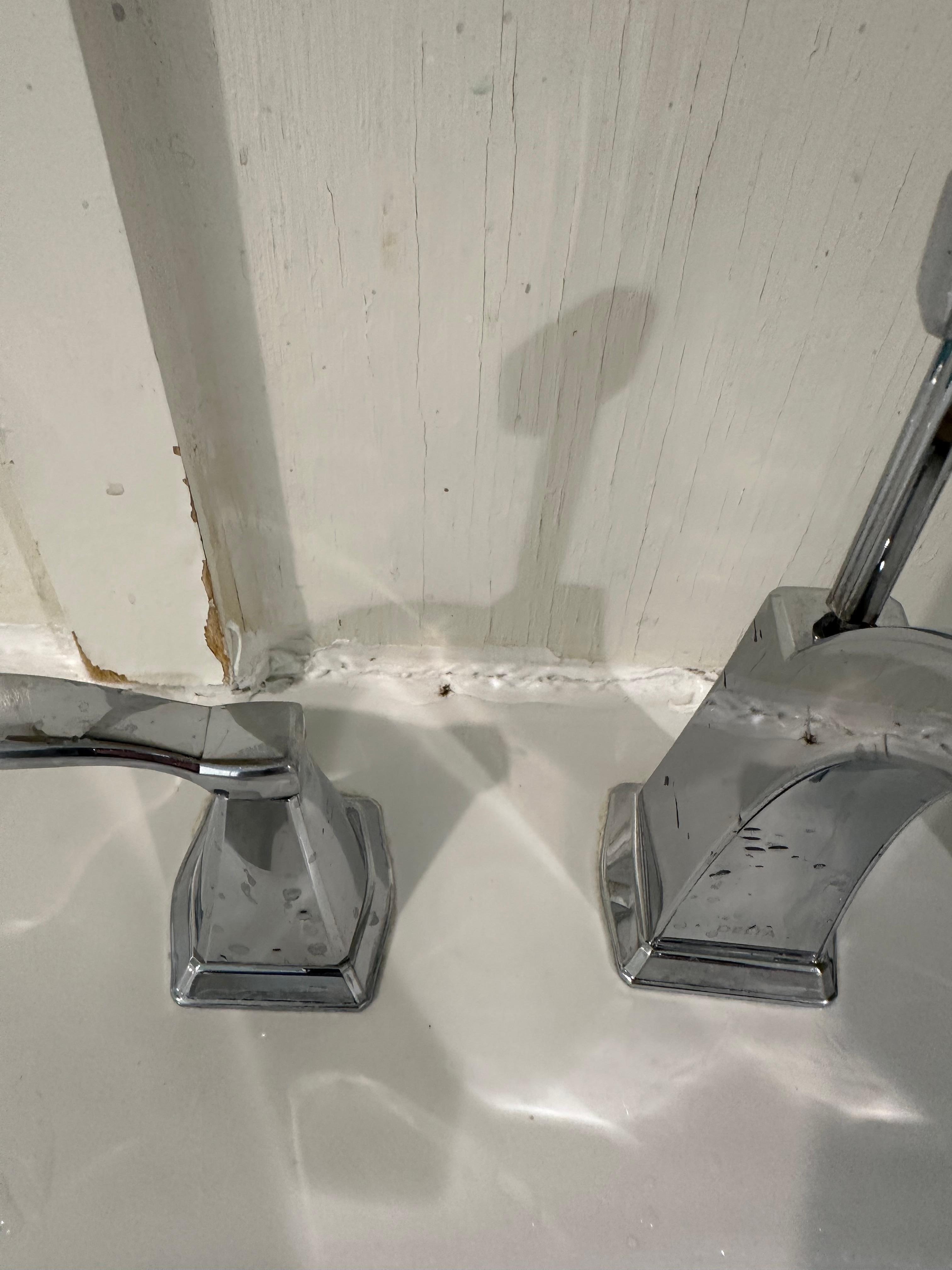 Spider smashed by sink and cracks around sink.