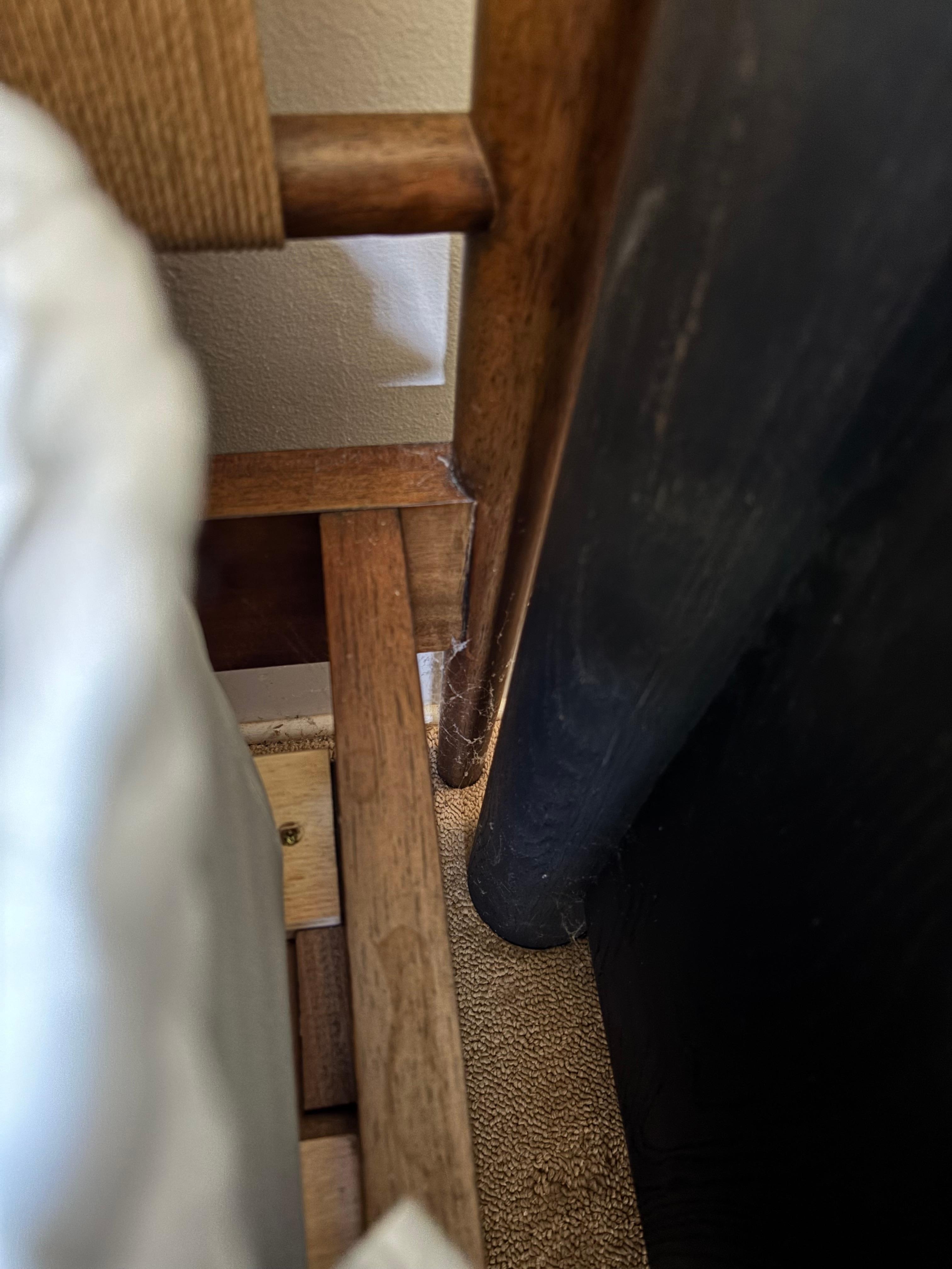 Downstairs master bed was covered in spiderwebs