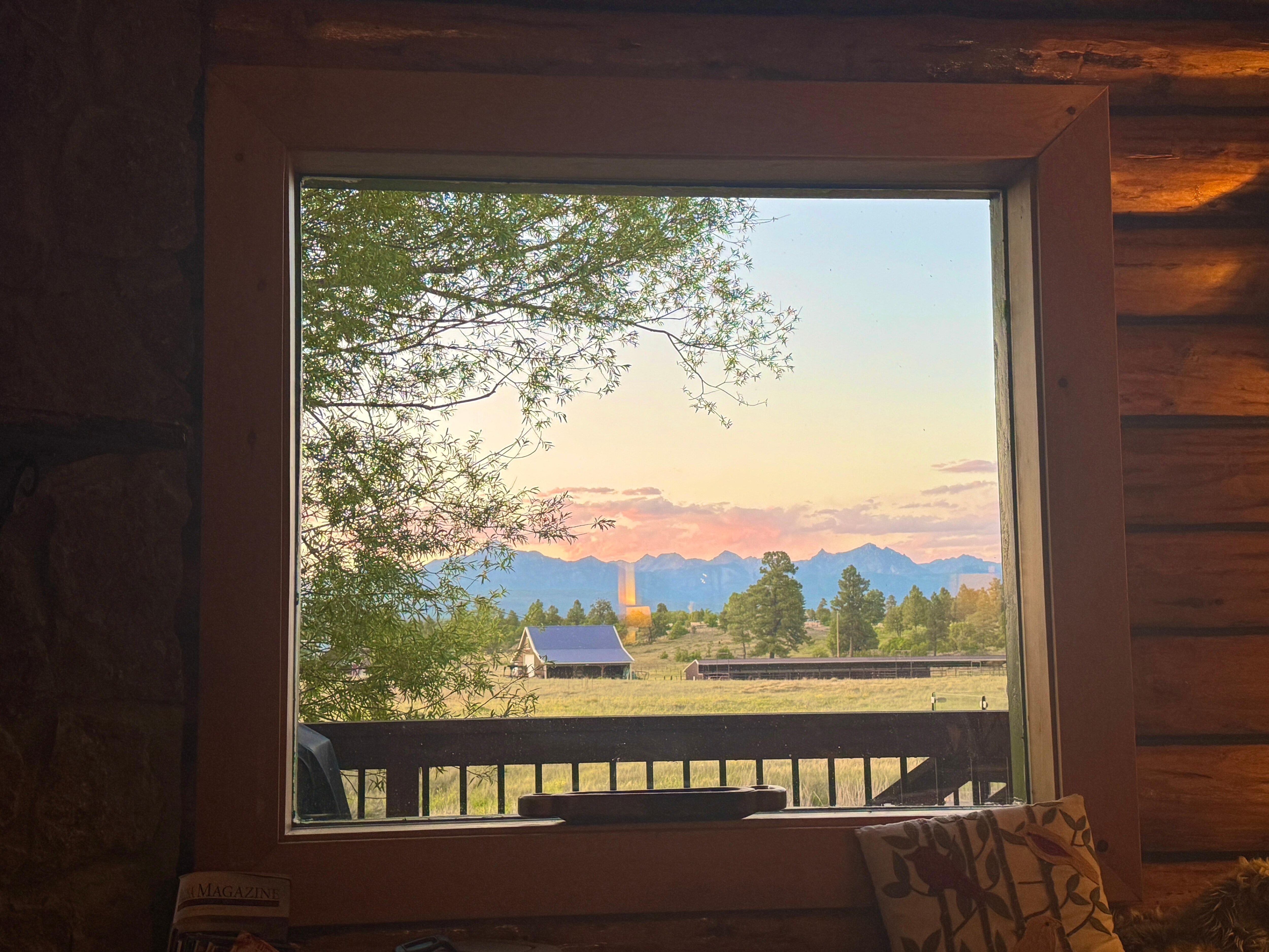 The picture window in the living room.