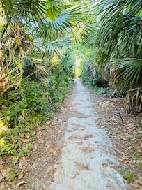 Path to the beach