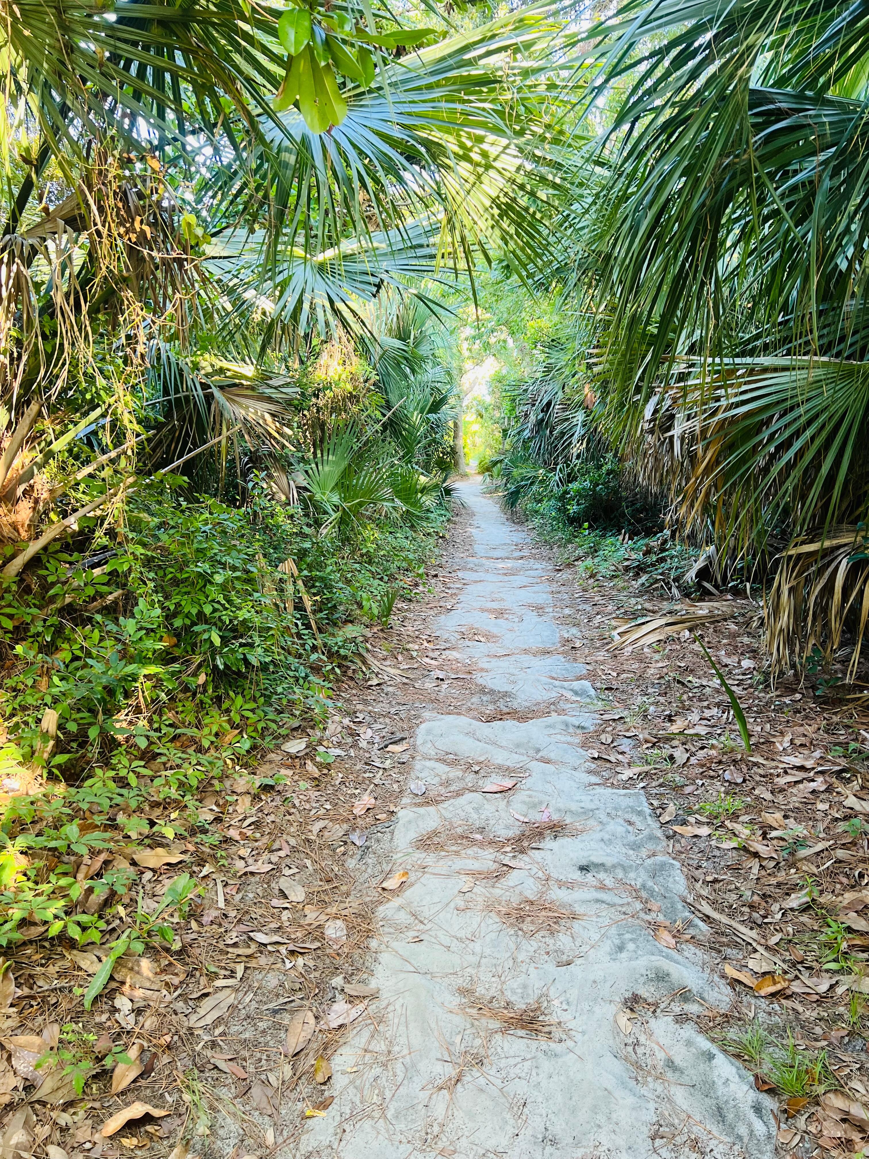 Path to the beach 
