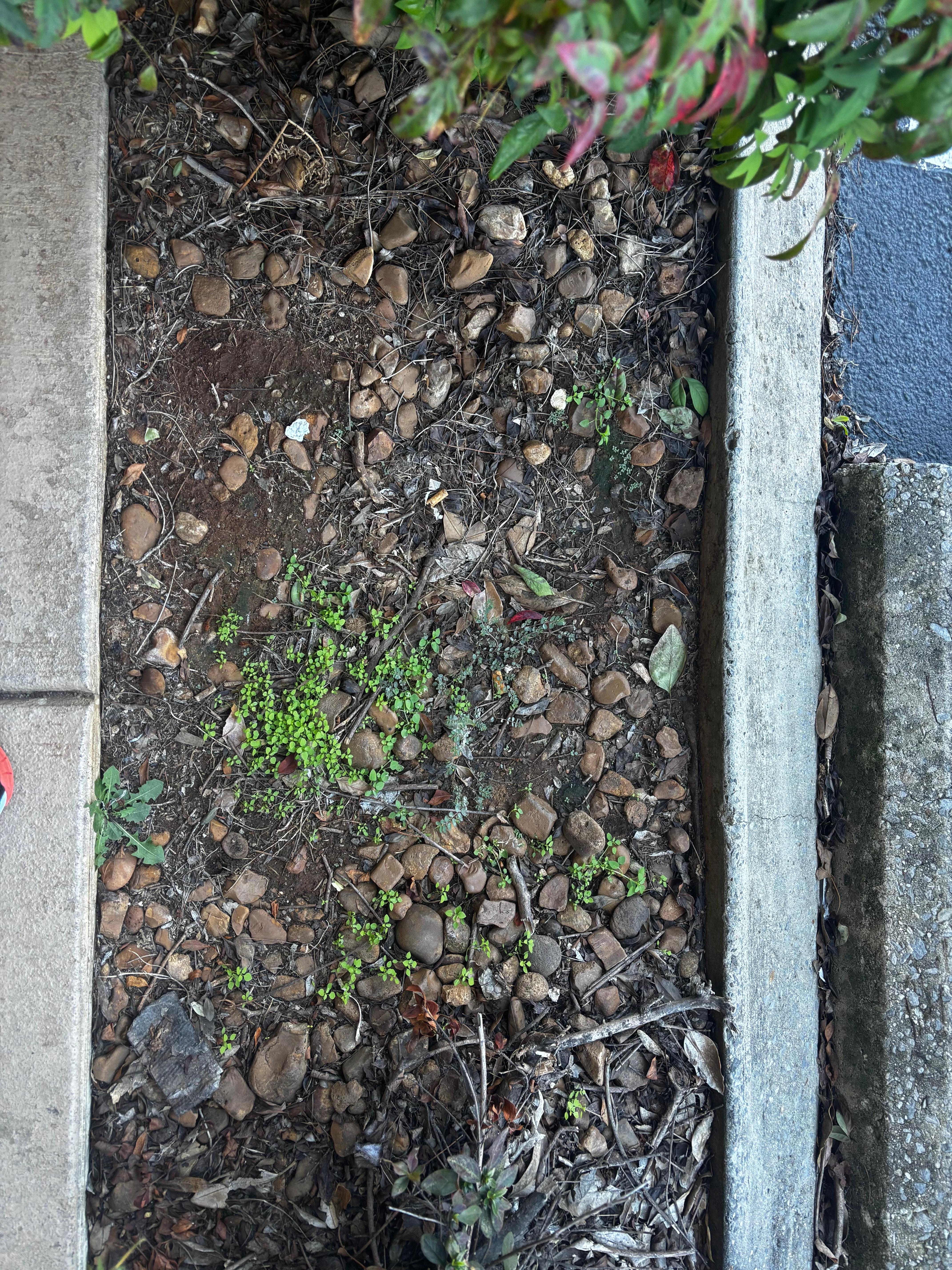 This was very deep should have had rocks or a step there. 