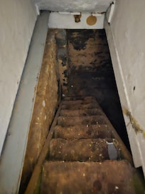 Moldy basement entry...not sealed off