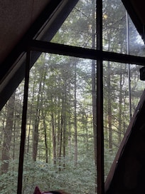 From inside cabin