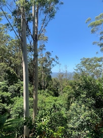 Beautiful viewâŠ
