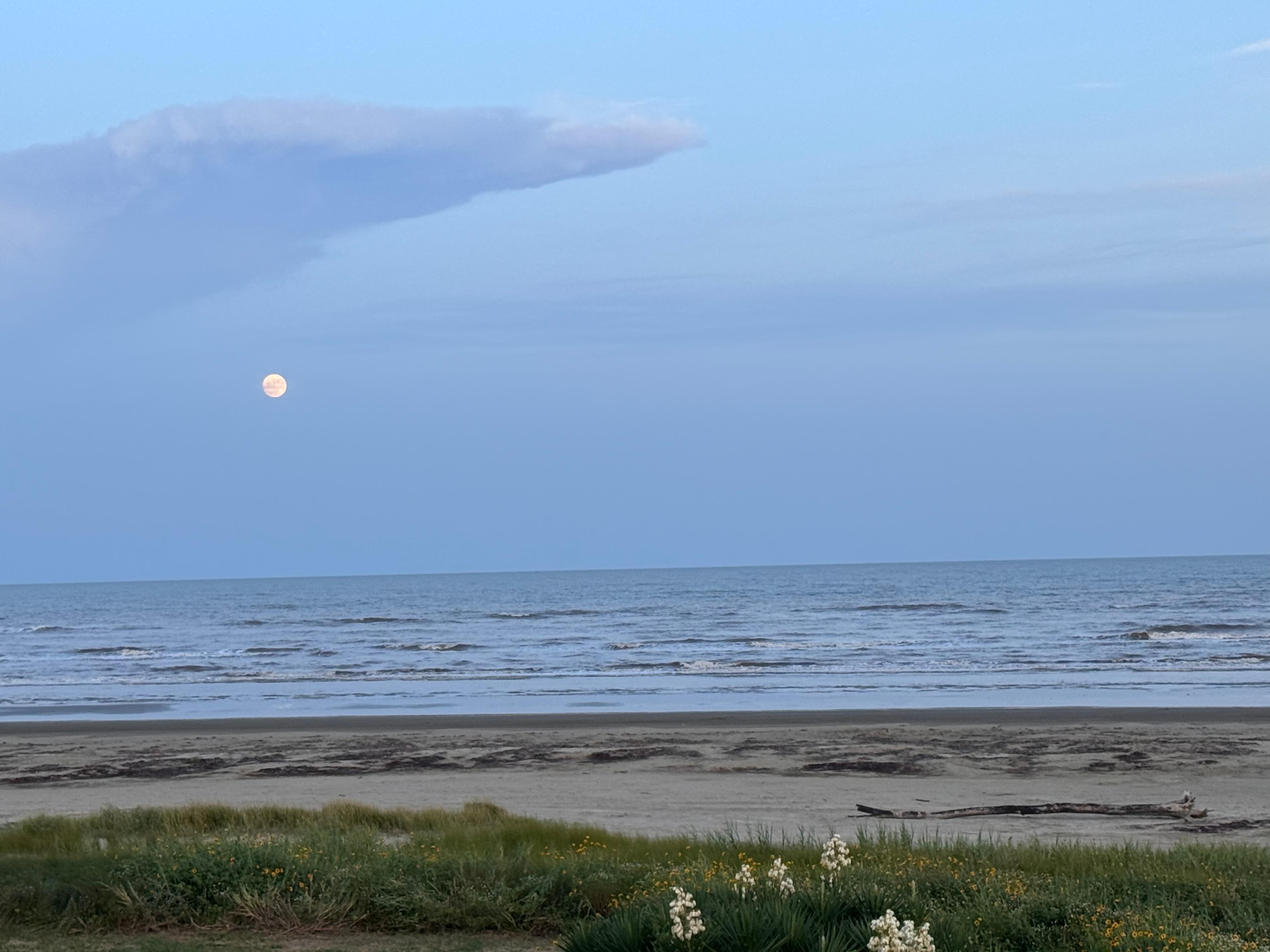 View from the balcony😍