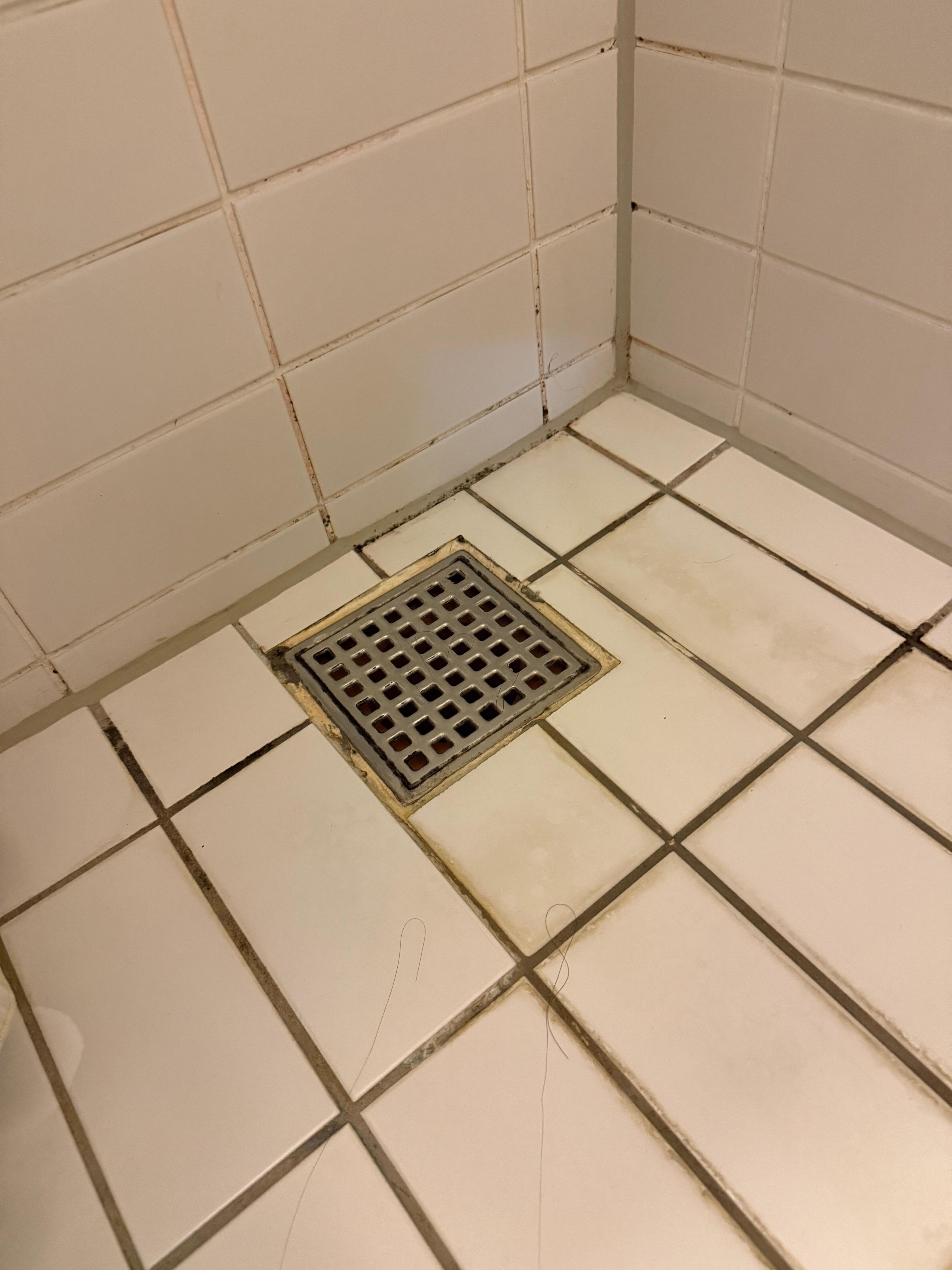 old moldy grout