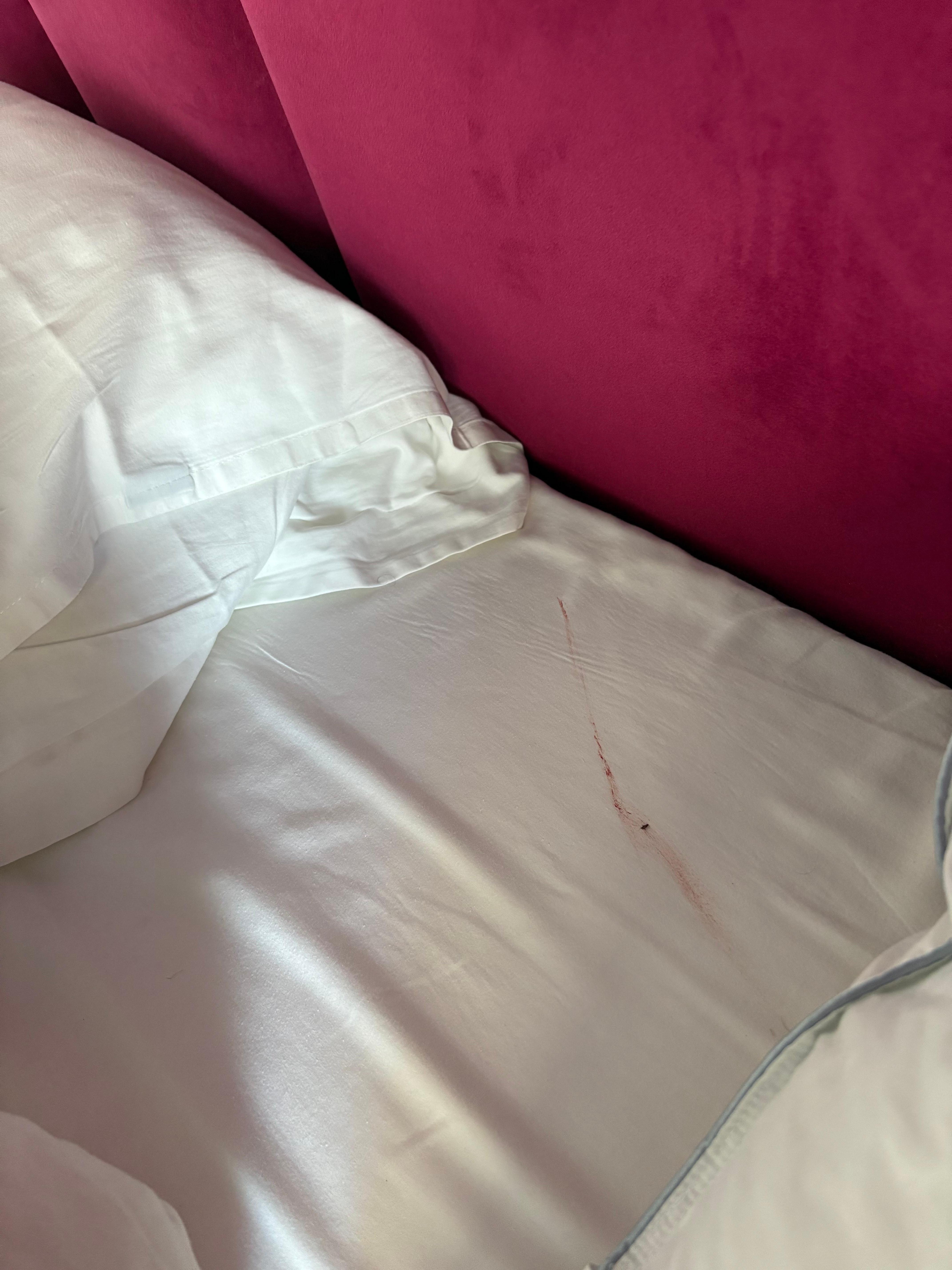 At least this mosquito won’t bite anyone else.  