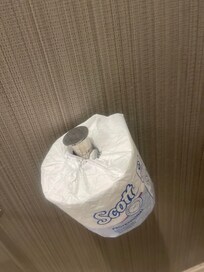 Loose spare toilet paper dispenser