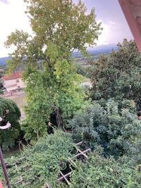 Tuscan morning landscape