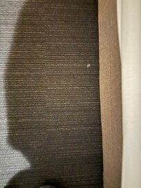 Stains on carpet.