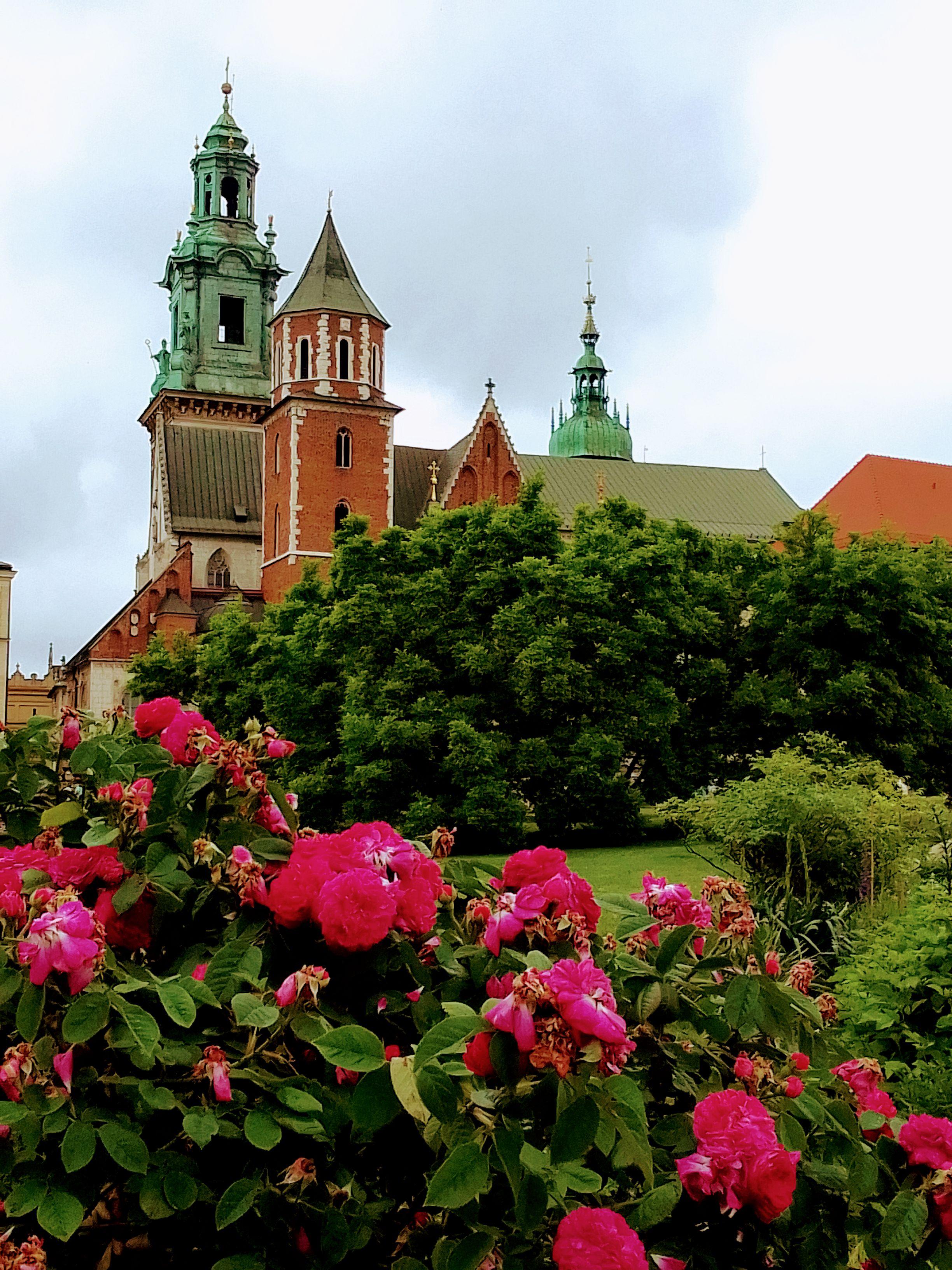 Wawel