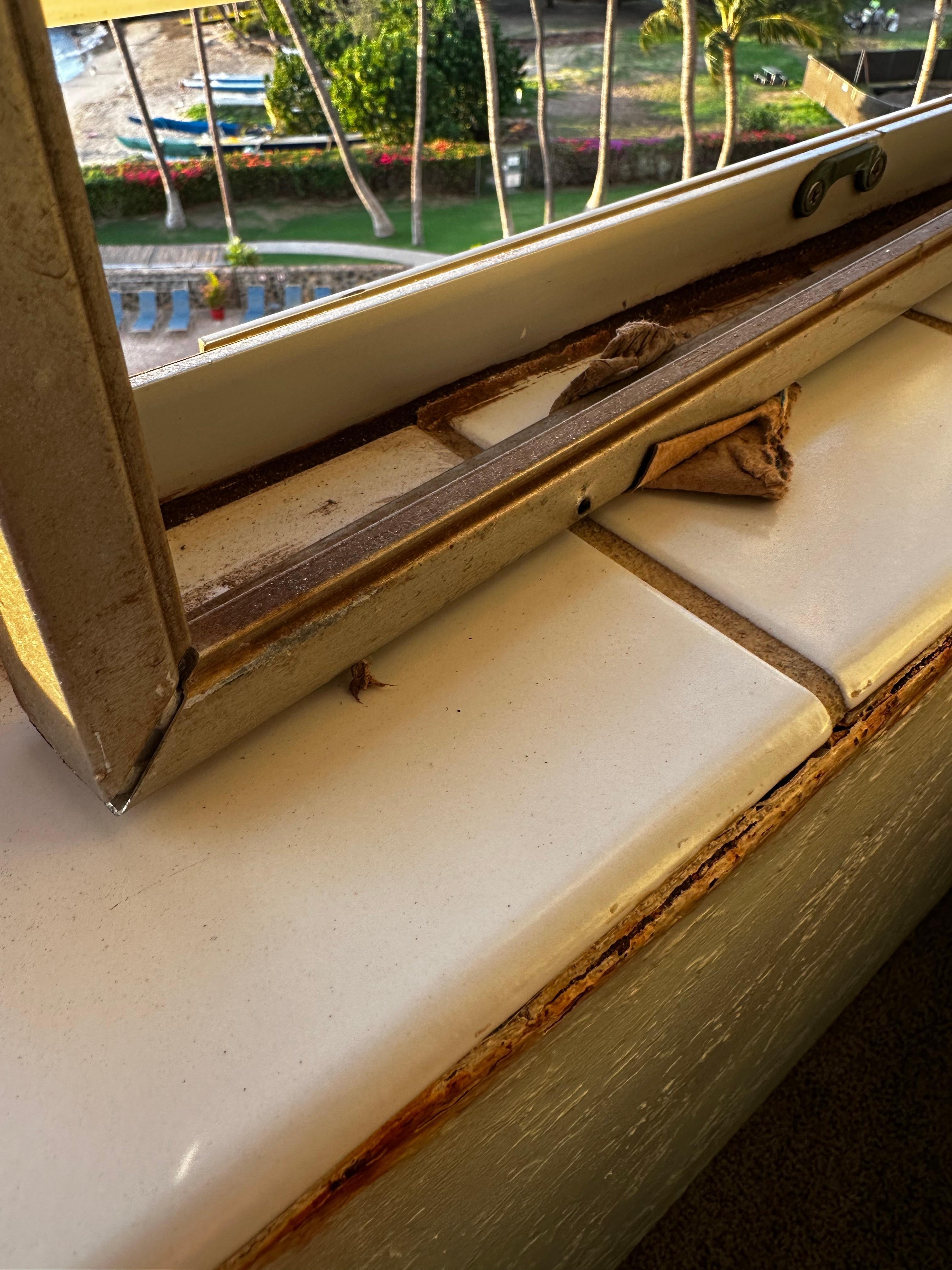The very odd, broken and non functional window screens—propped up with cardboard