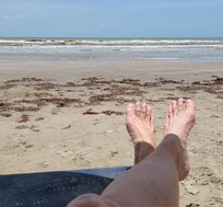 Close to the shore
