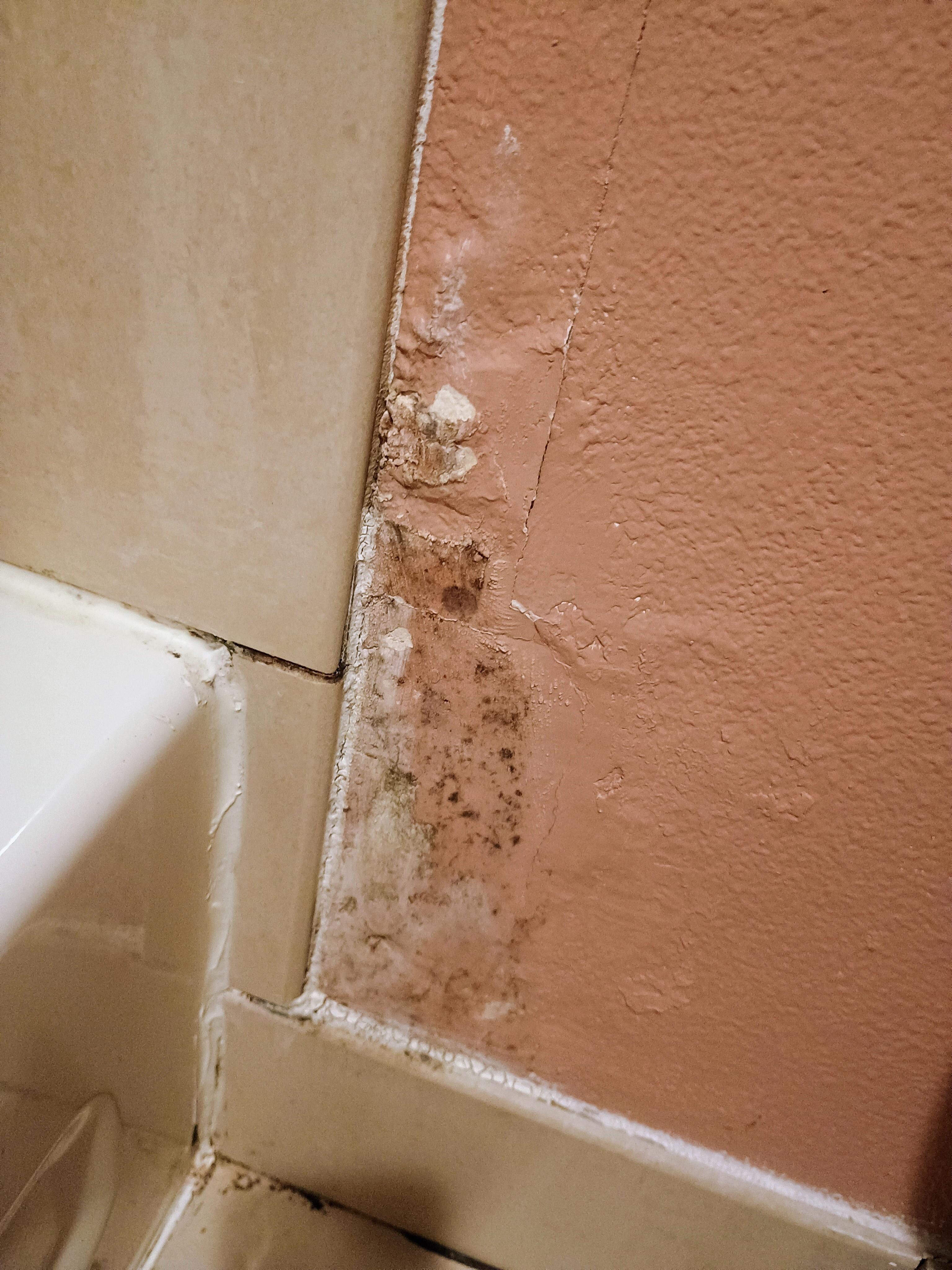 Mildew / mold in the bathroom
