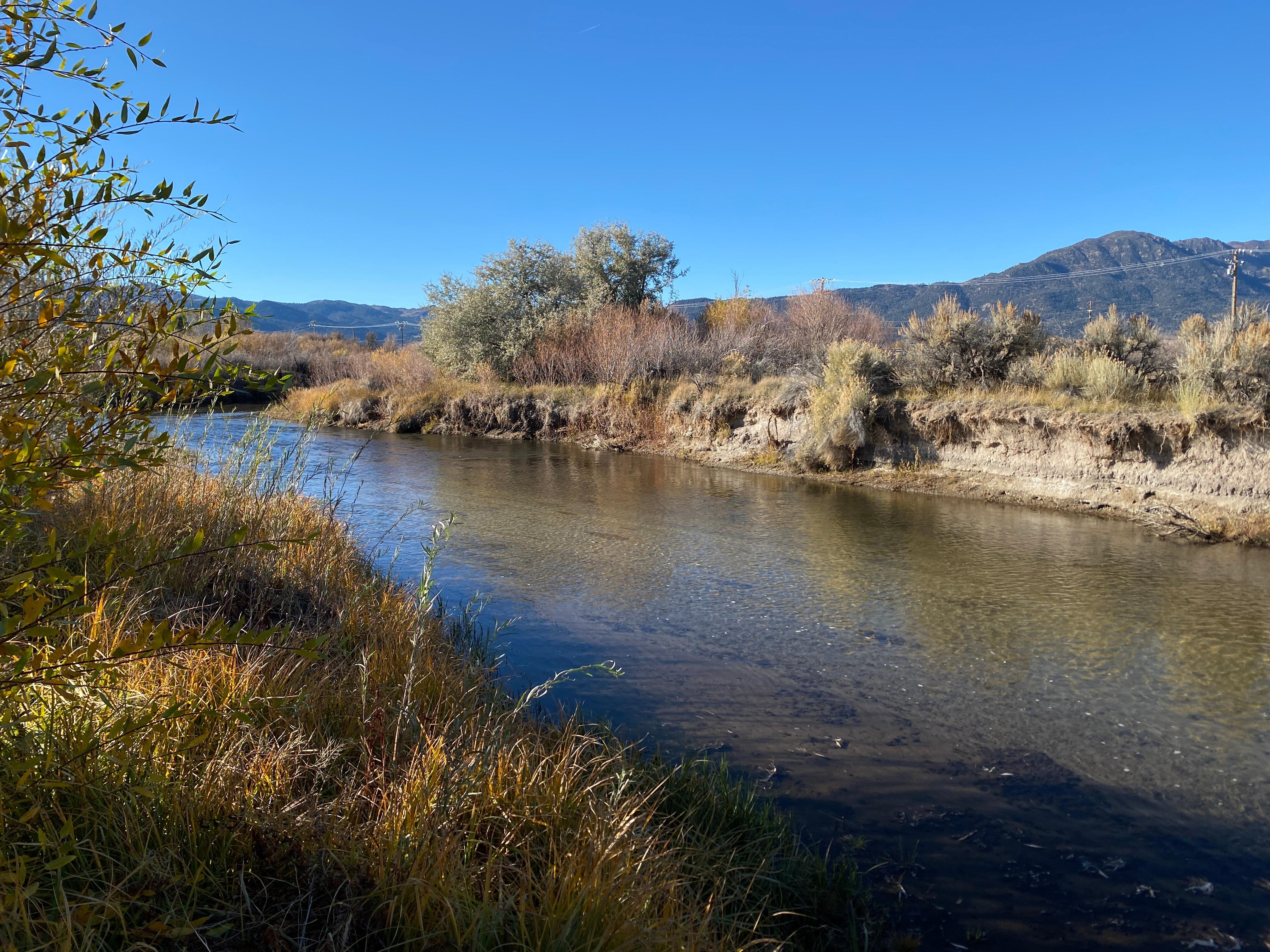 Walker River behind the Lodge