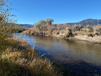 Walker River behind the Lodge
