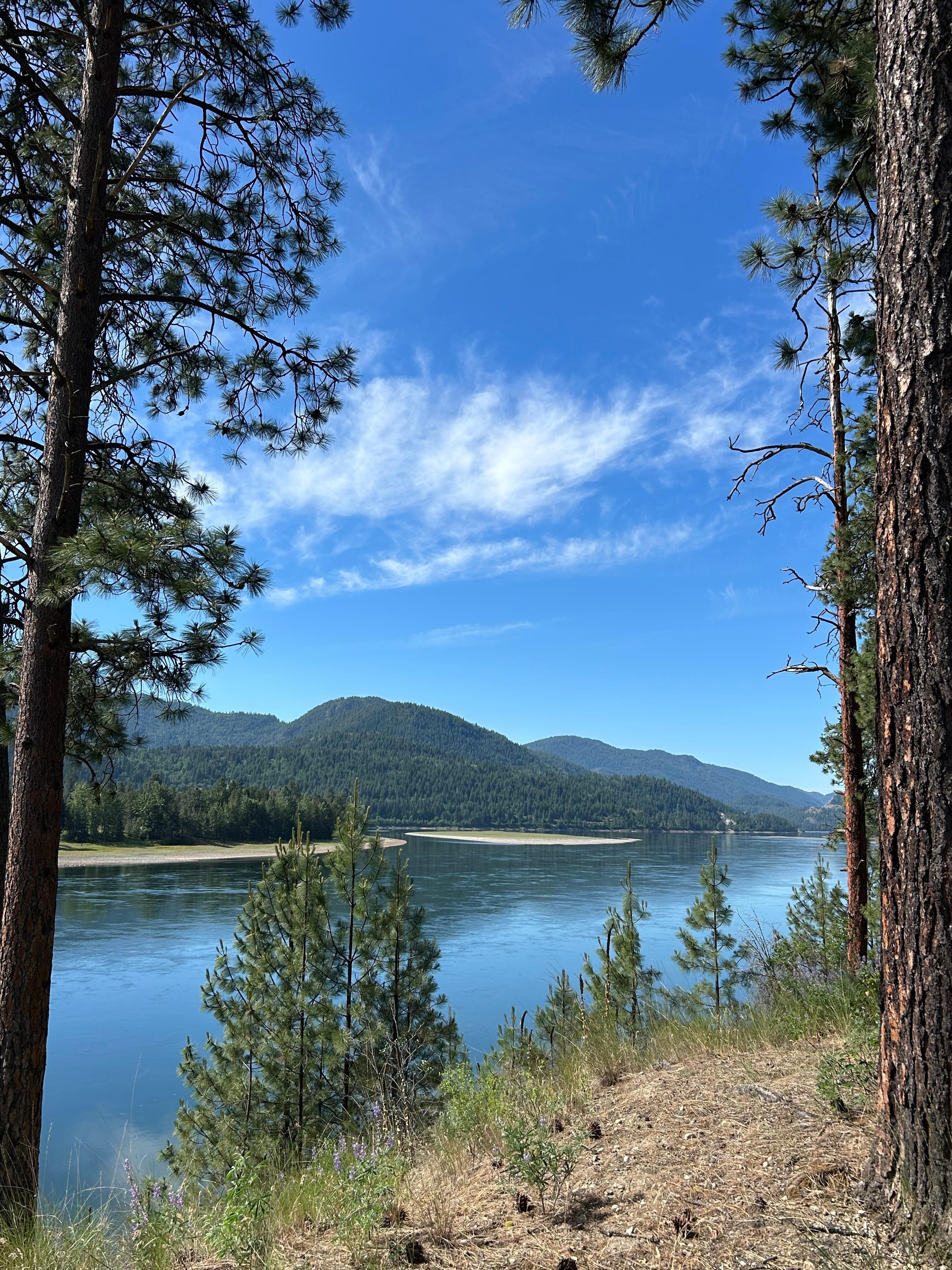 View from the back deck. 