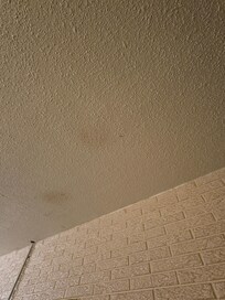 stains in the ceiling