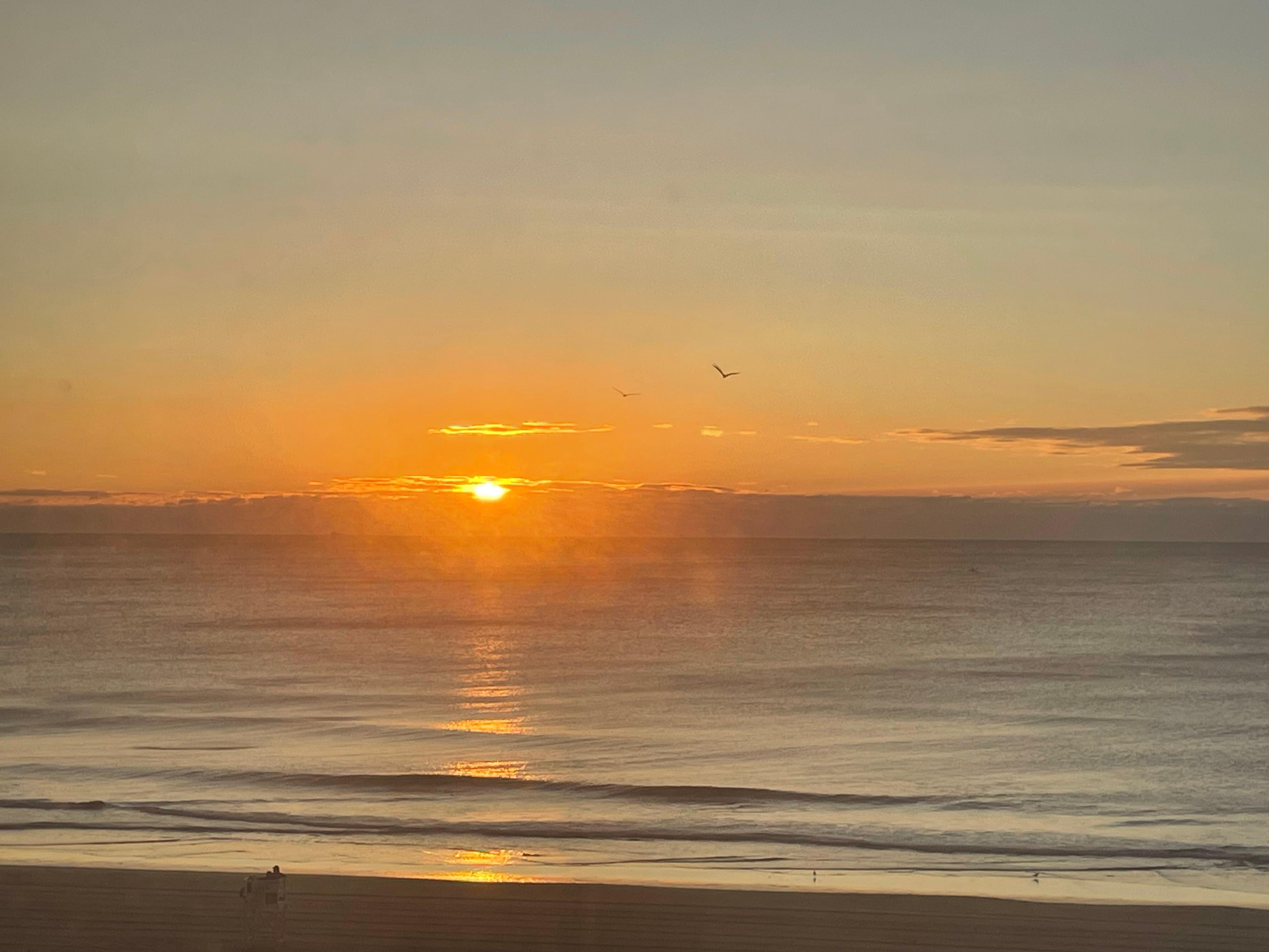 Sunrise view from room!