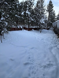 February 21, 2026, 3 days after snow fall