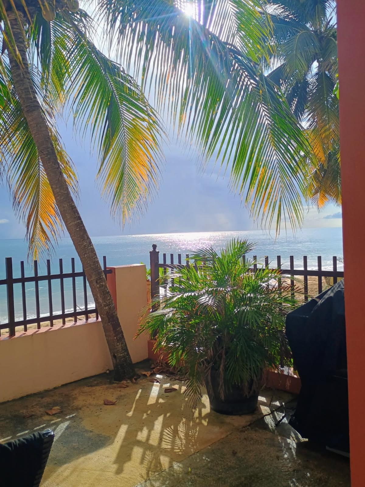 Sunset after a rainstorm, view from patio.