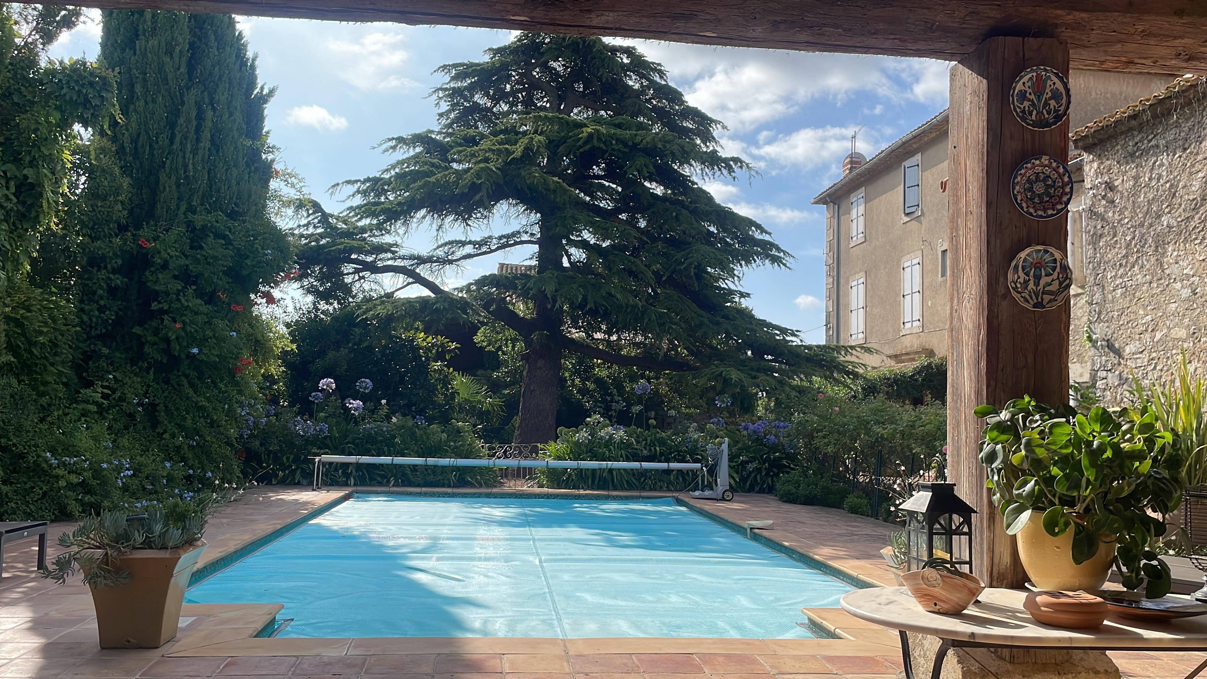 Blick vom überdachten Pool Bereich mit Küche, Tisch, Sofa zum Pool und der beeindruckenden Zeder 