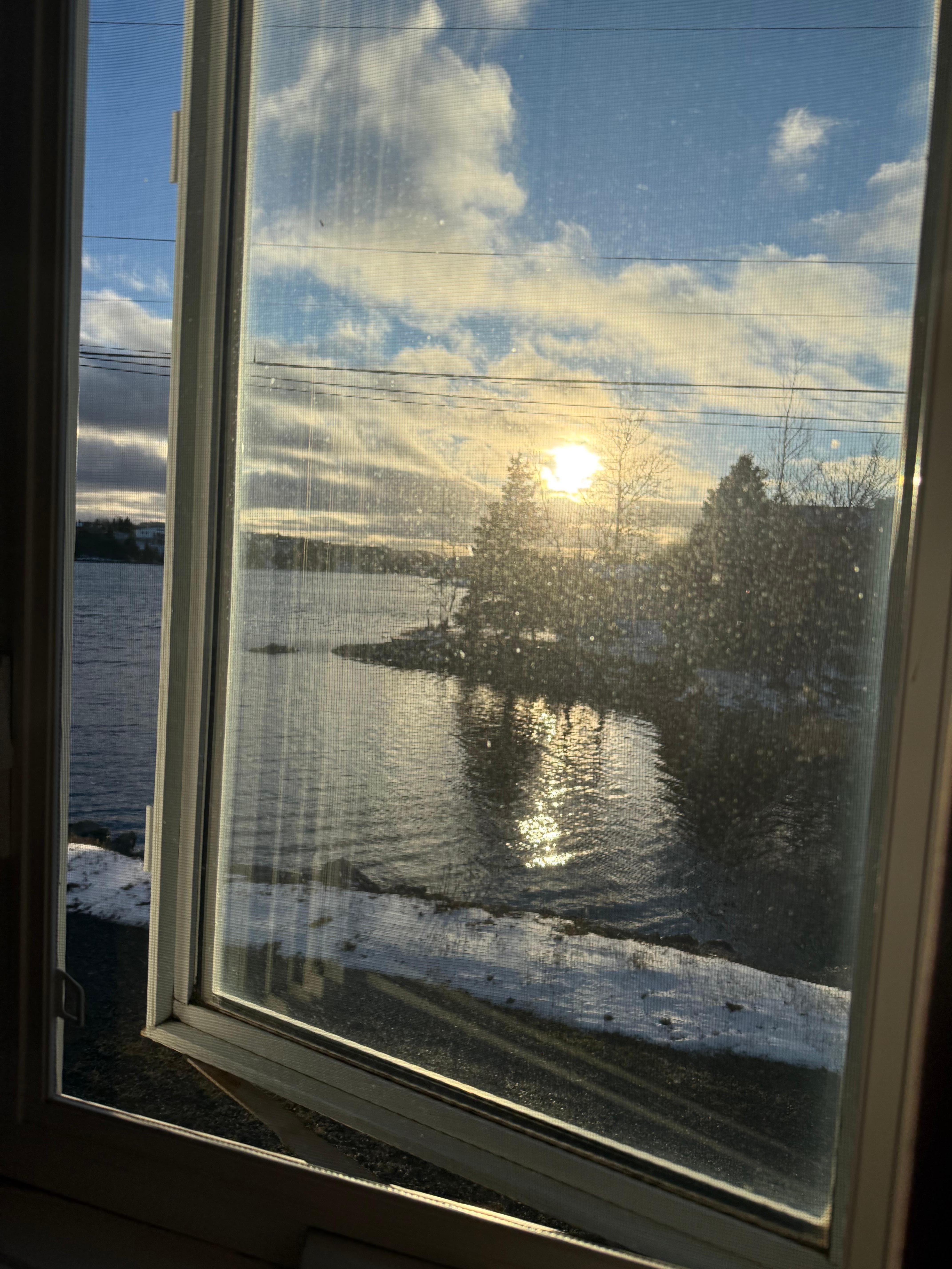 The view from my room