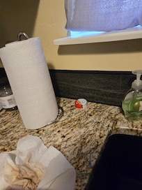 The ant traps on the counter