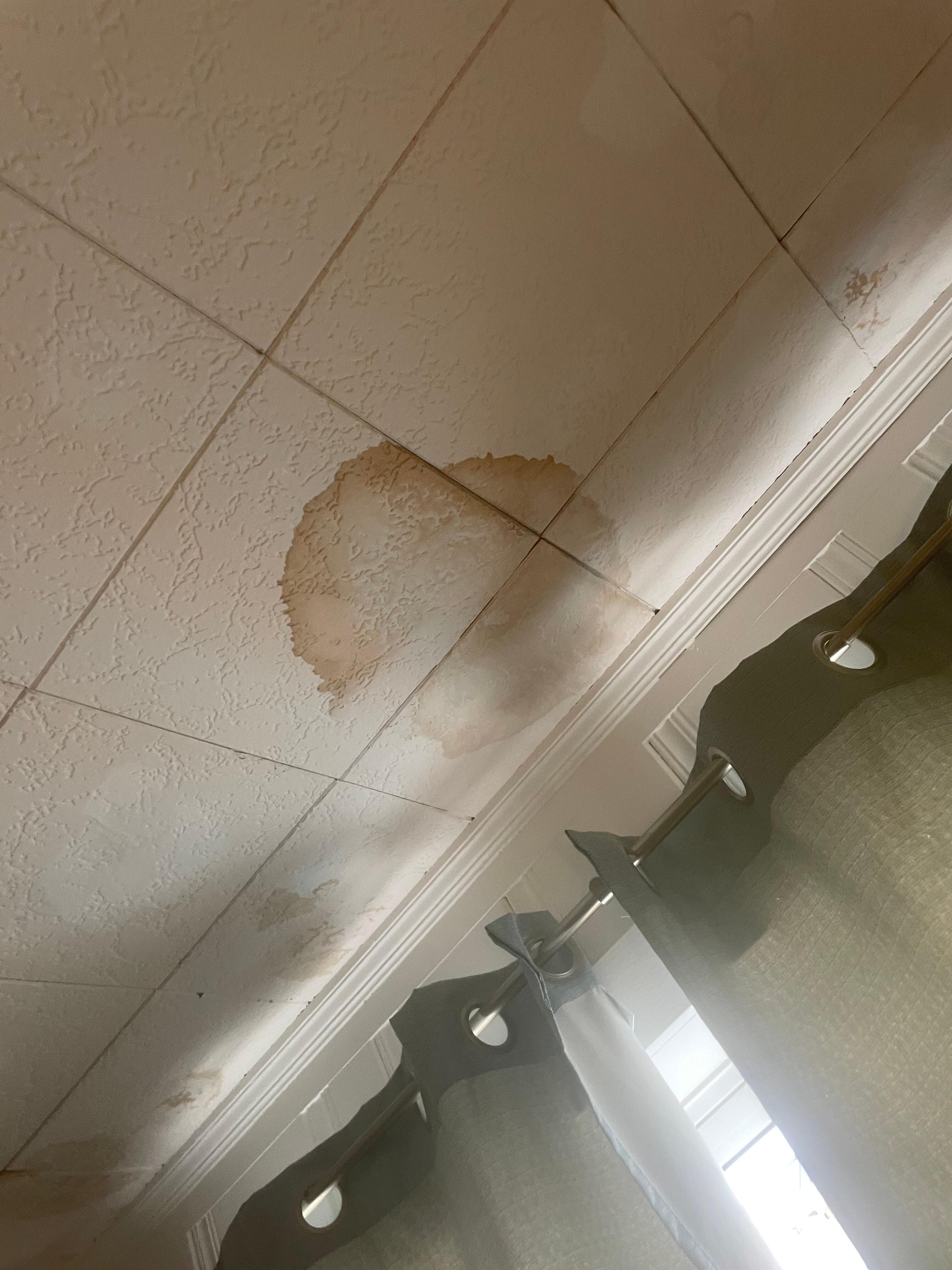 ceiling leaks